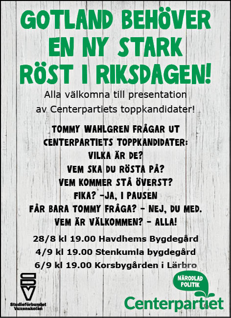 Annonsbild, Gotland behöver en ny stark röst i Riksdagen! 