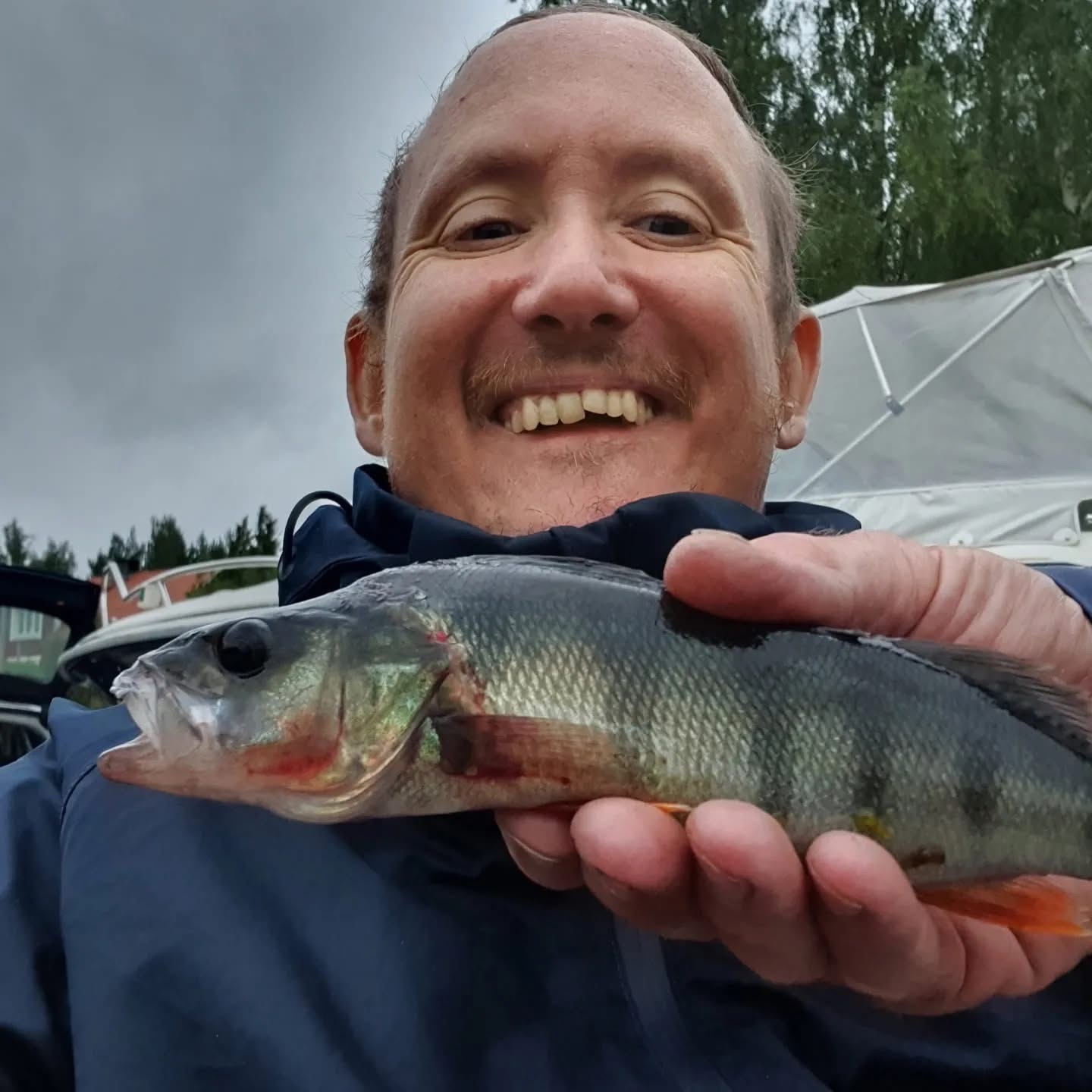 Hampus