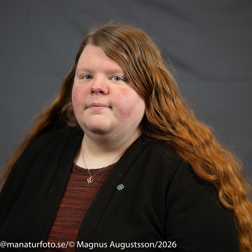 Profilbild