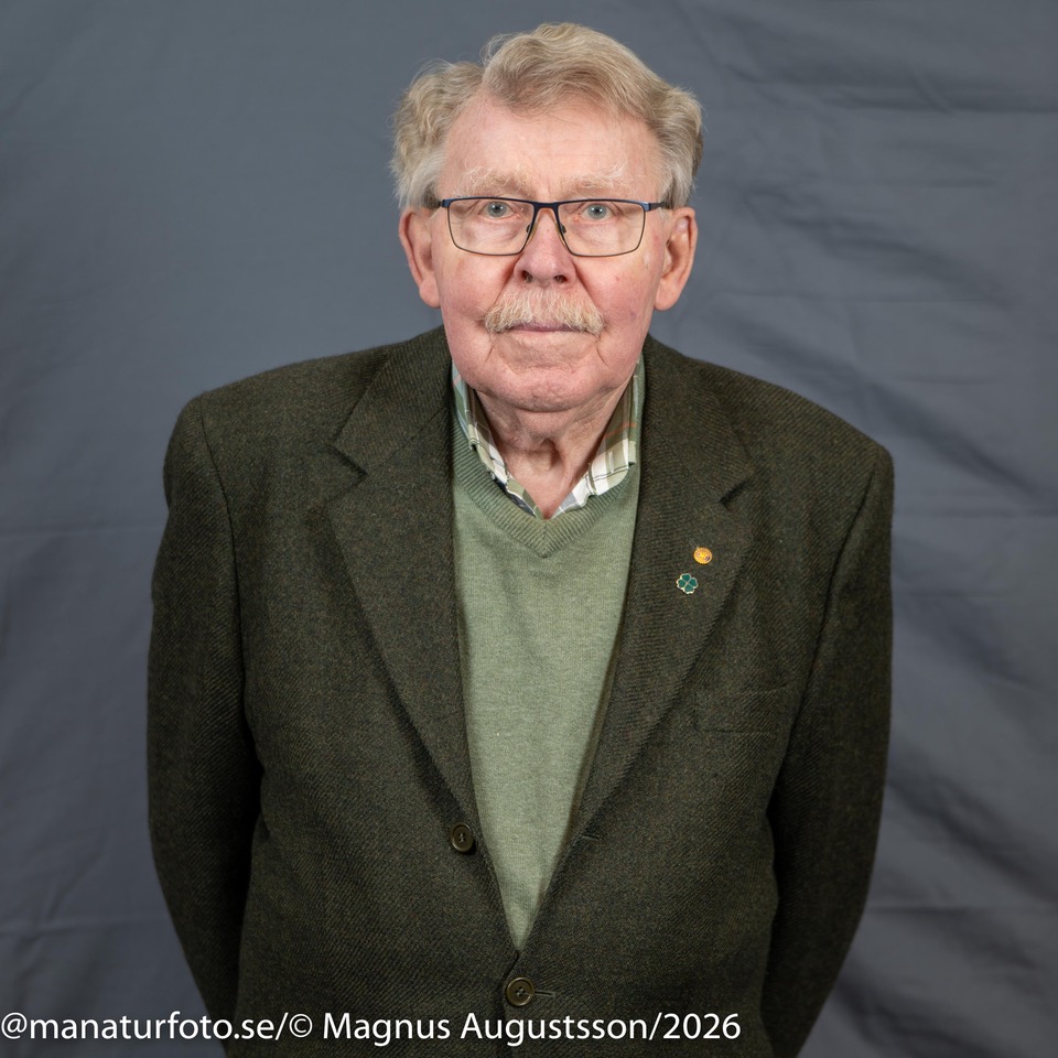 Profilbild