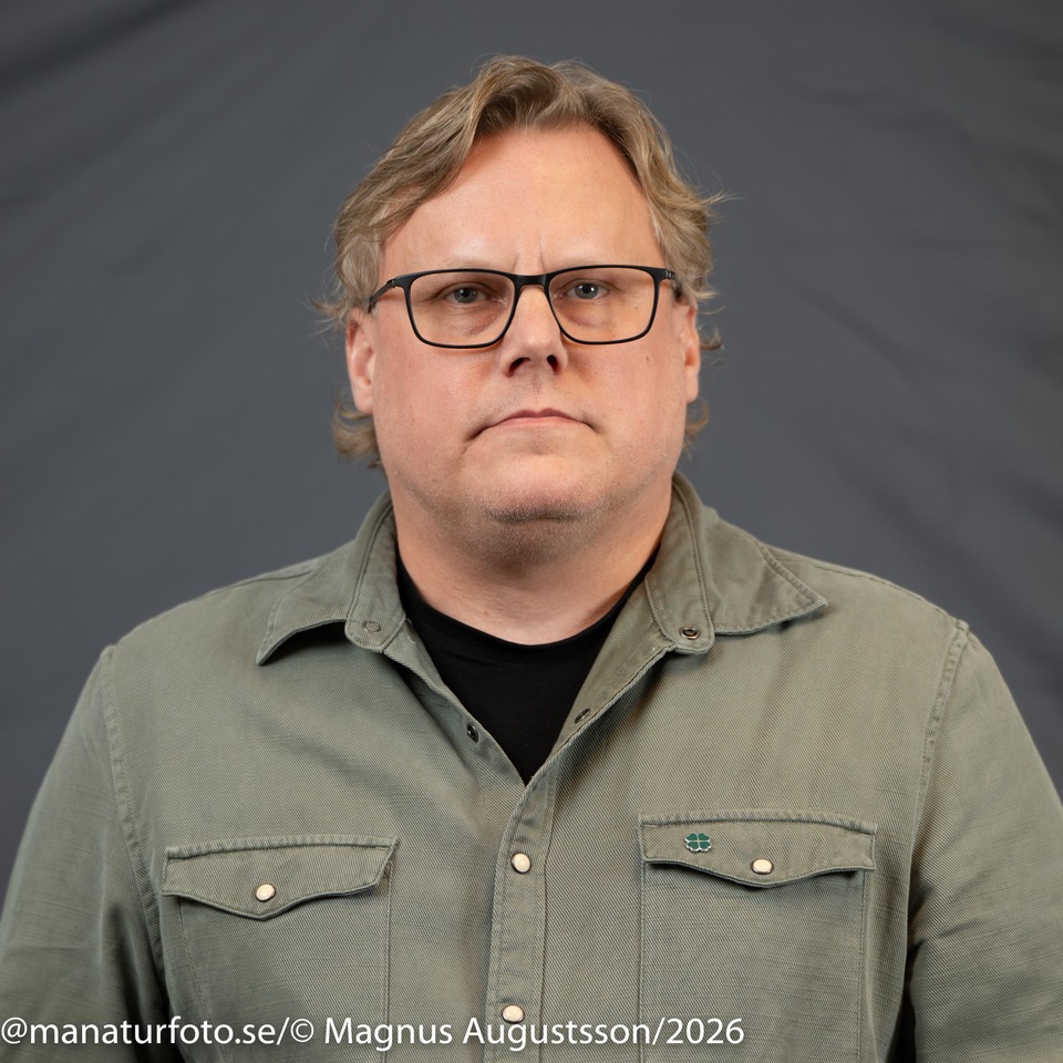 Profilbild