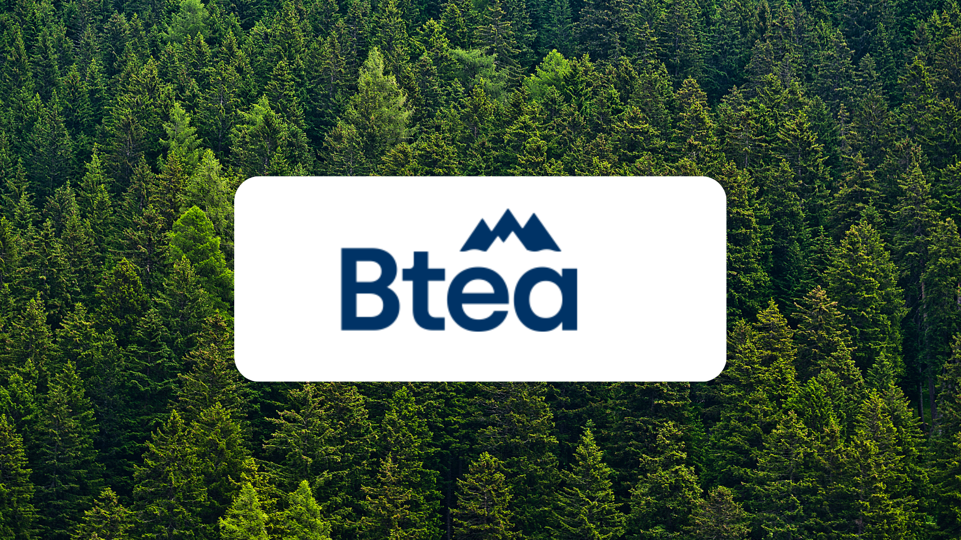 Bilden visar BTEA's logotyp samt en grön granskog i bakgrunden