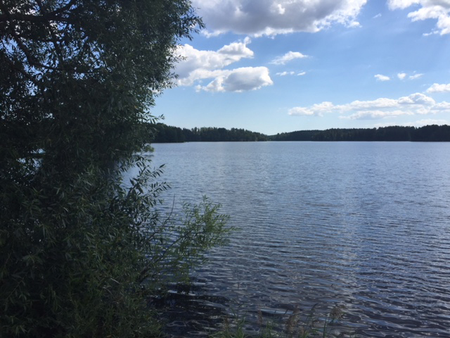 Visar en sjö med gröna buskar till vänster och vita moln.