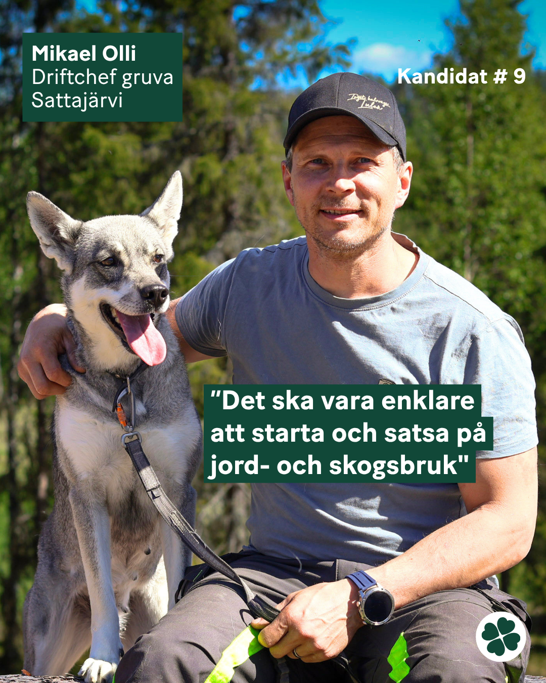 Mikael Olli