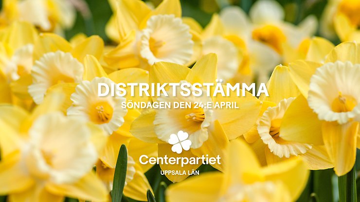 Distriktsstämma 2022