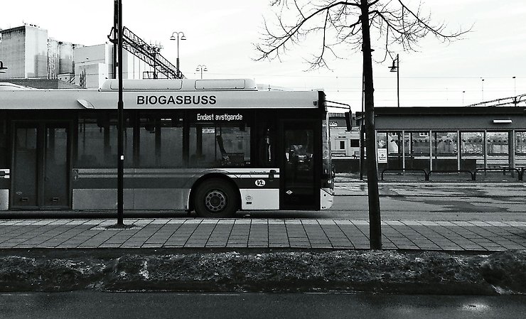 lokaltrafik buss