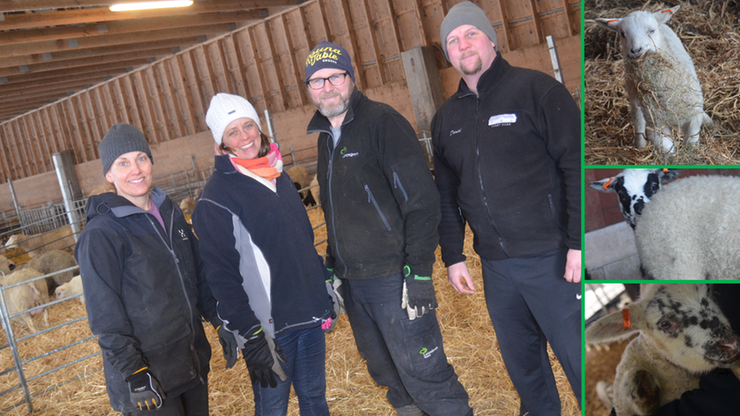 Gabriella med flera, samt djur i lantbruksmiljö