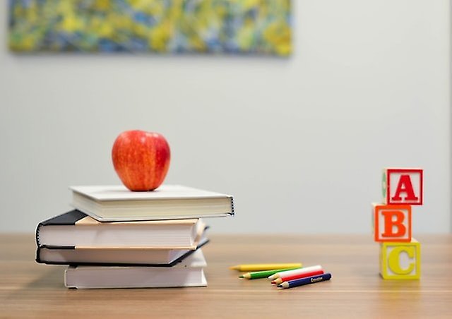 skola utbildning