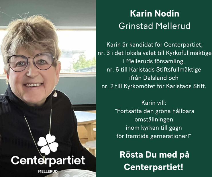 Karin Nodin